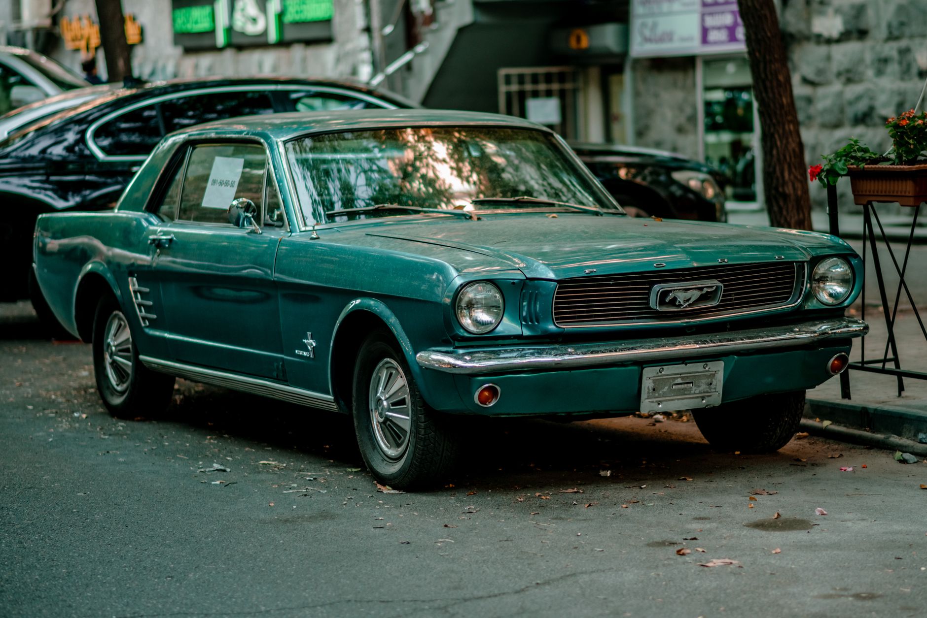 What Sets Shelby Classic Cars Apart from Other Vintage Automobiles?