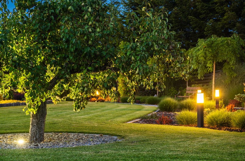 What to Look for in a Reputable Landscaping Company?