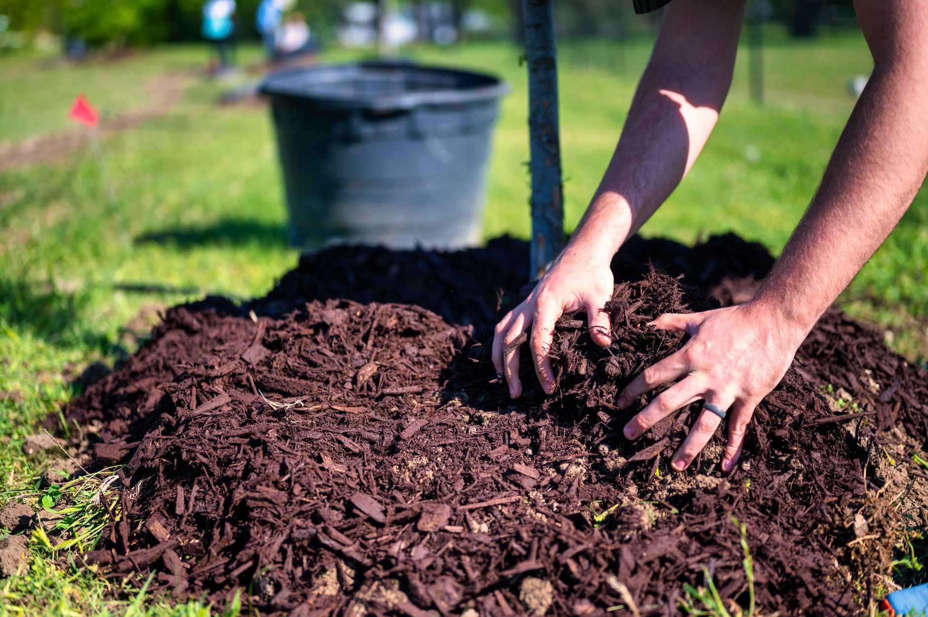How to Properly Mulch Around Trees